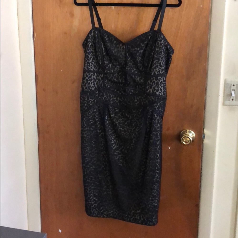 Torrid Animal Print Mesh Bodycon Dress